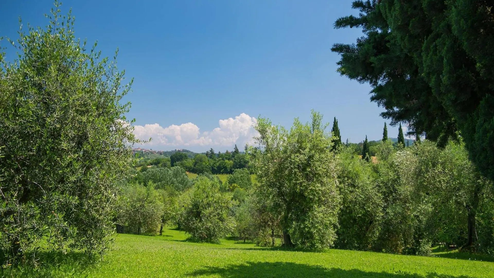 Rustic Apartment With Garden And Swimming Pool Montaione